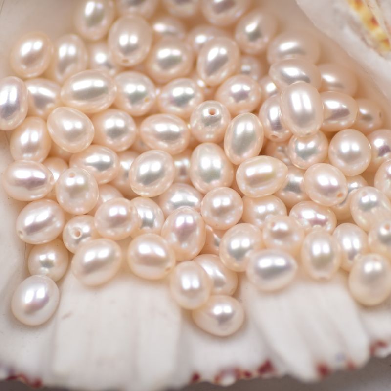1 Piece Fashion Solid Color Freshwater Pearl Jewelry Accessories