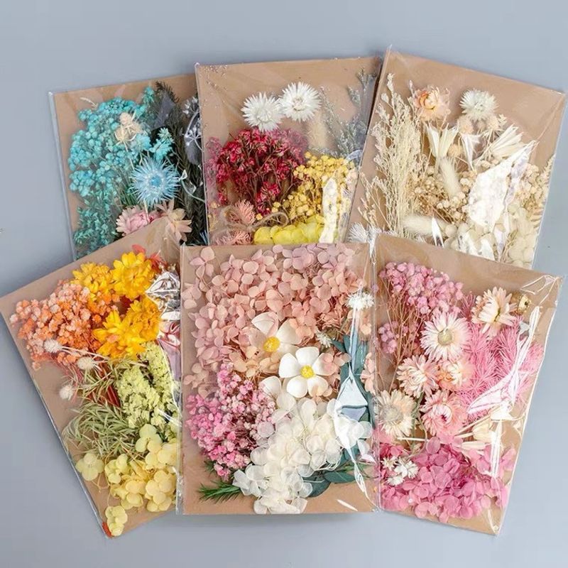 Tuanjian Yongsheng Dried Flower Diy Material Package Painting With Photo Frame Circular Fan Greeting Card Handmade Bouquet Real Flower Epoxy Embossing Bag
