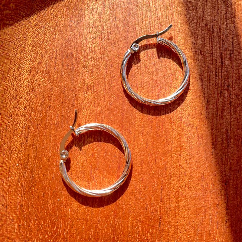 1 Pair Fashion Circle Stainless Steel Plating Earrings