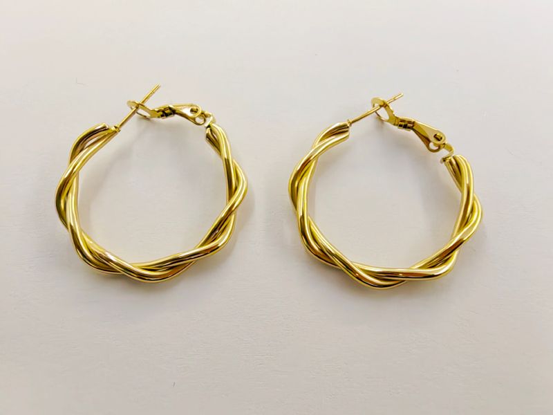 1 Pair Modern Style Simple Style Twist Plating 304 Stainless Steel 18K Gold Plated Earrings