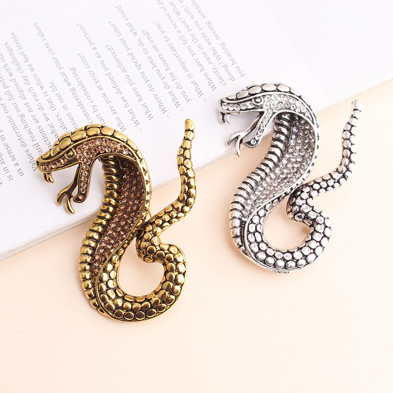 Exaggerated Funny Snake Alloy Unisex Brooches