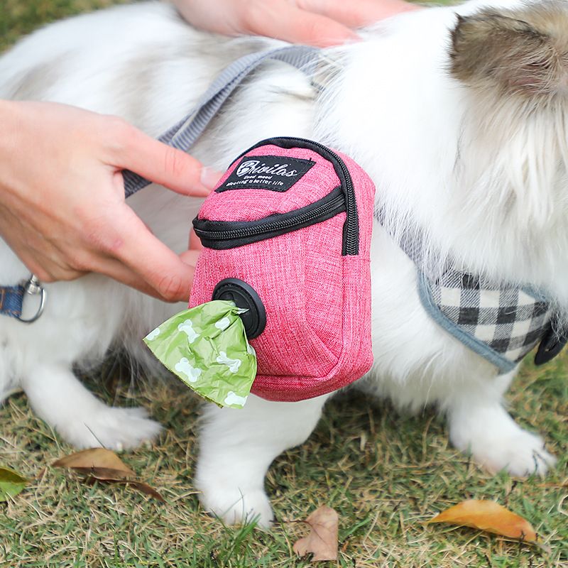 Kausale Hunde-walking-kacke-picking-pack-haustier-zubehör Hunde Tasche