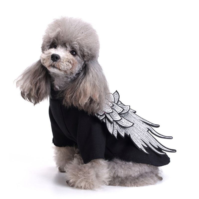 Dog Clothes Wings Autumn Clothes Small Dog Clothes Wings