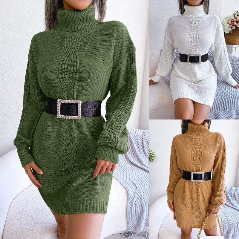 Women's Sweater Dress Casual Turtleneck Long Sleeve Solid Color Above Knee Street