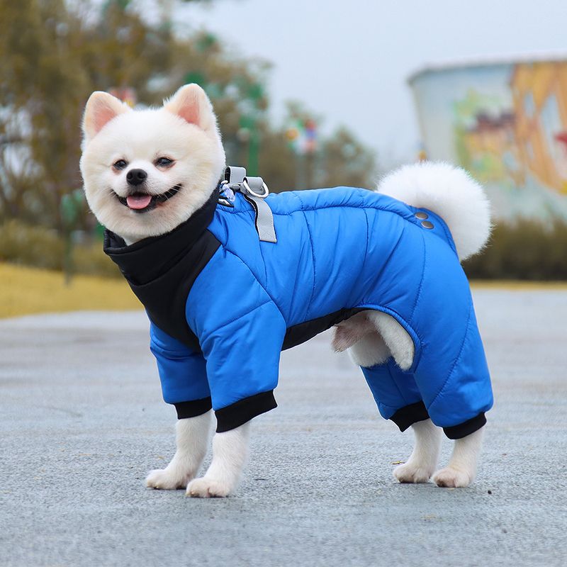 Nuevo Abrigo De Algodón Para Perro A Prueba De Viento De Color Sólido Para Invierno