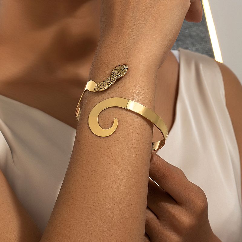 Gothique Rétro Style Cool Animal Serpent Alliage Placage Femmes Bracelet