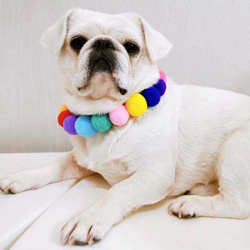 Cute Polyester Color Block Pet Collar