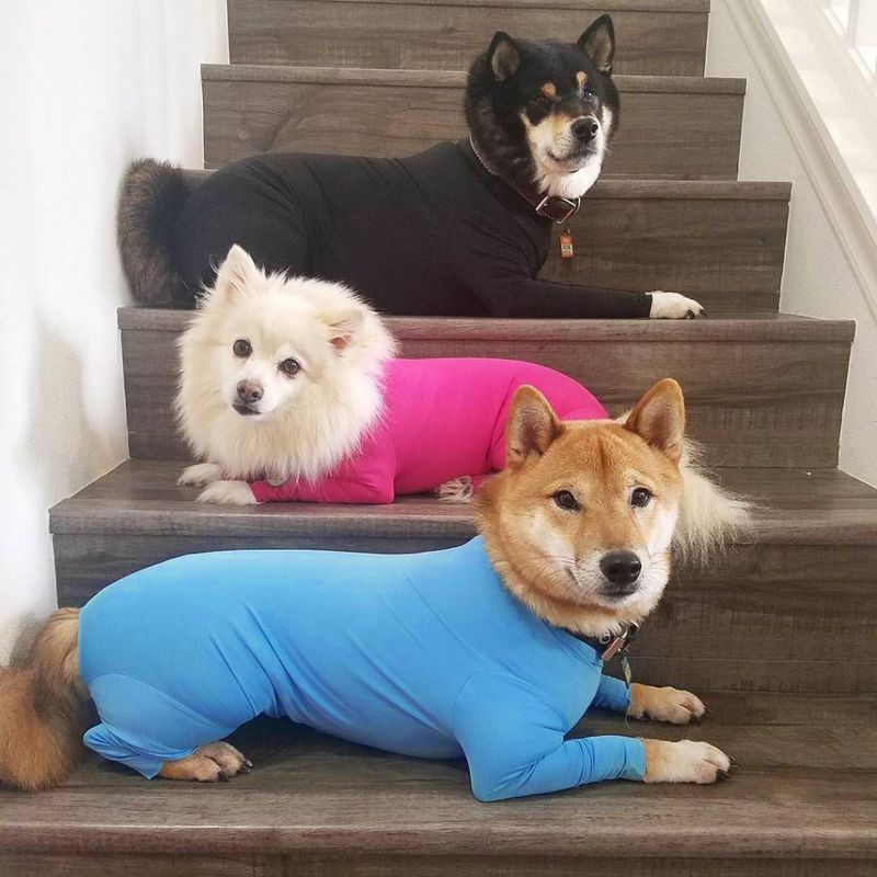 Lässig Polyester Einfarbig Kleidung Für Haustiere