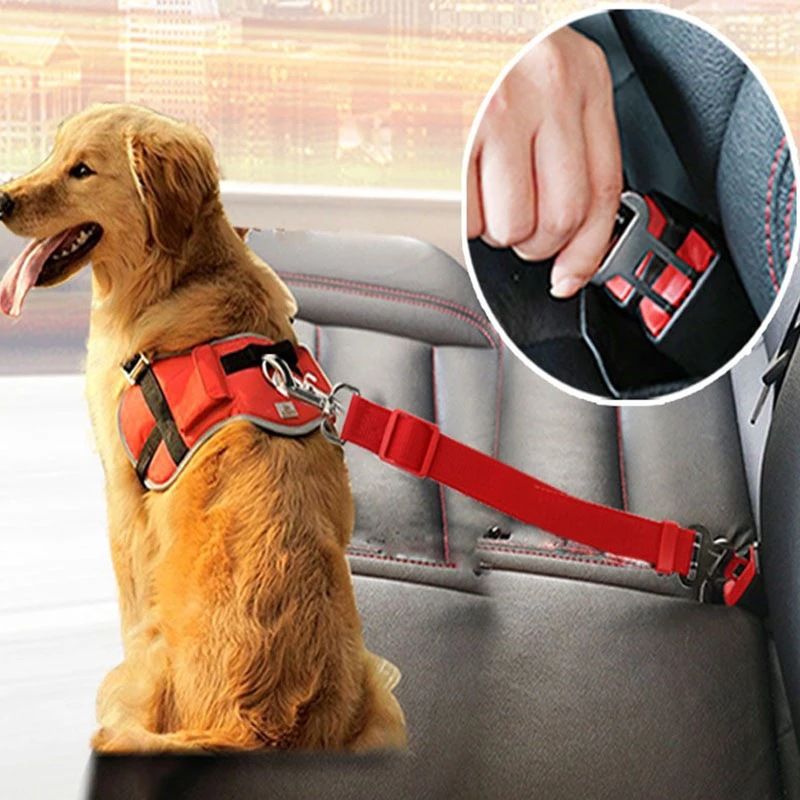 Simple Style Classic Style Cloth Solid Color Leash