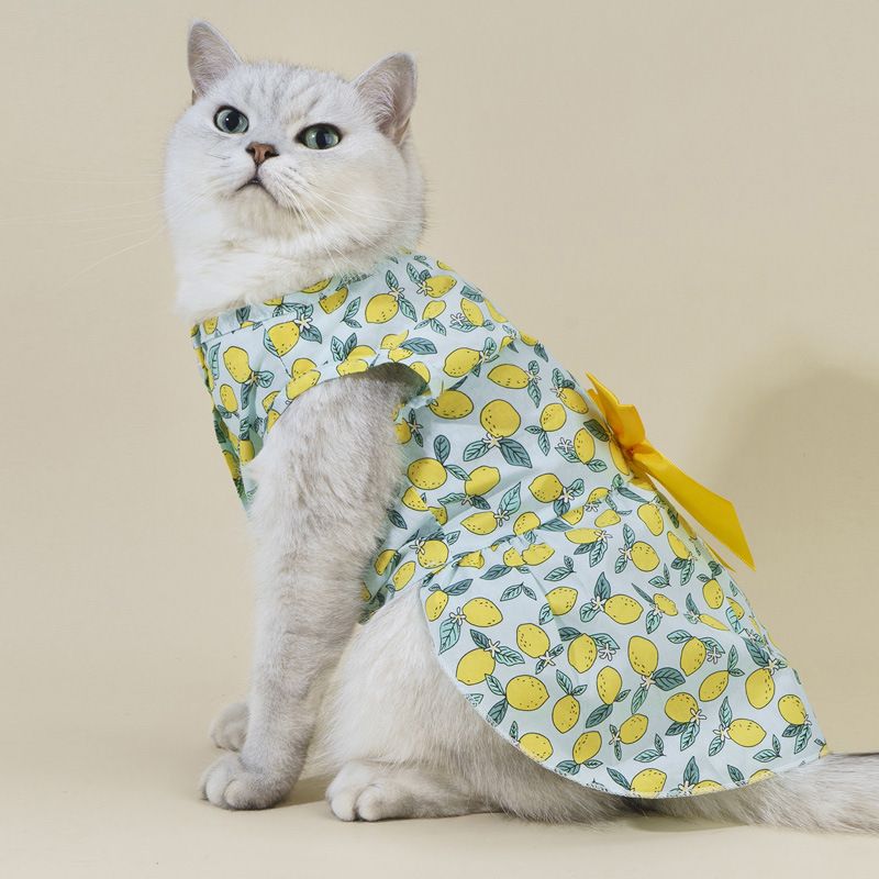 Pastoral Baumwolle Zitrone Bogenknoten Kleidung Für Haustiere