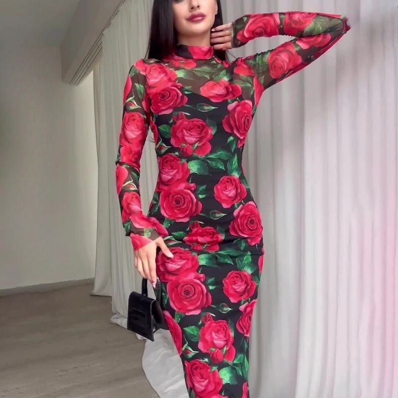 Women's Regular Dress Elegant Round Neck Long Sleeve Flower Maxi Long Dress Daily Street