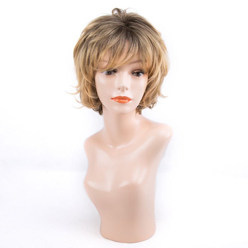 Women's Simple Style Casual Party Street High Temperature Wire Side Fringe Short Curly Hair Wig Net