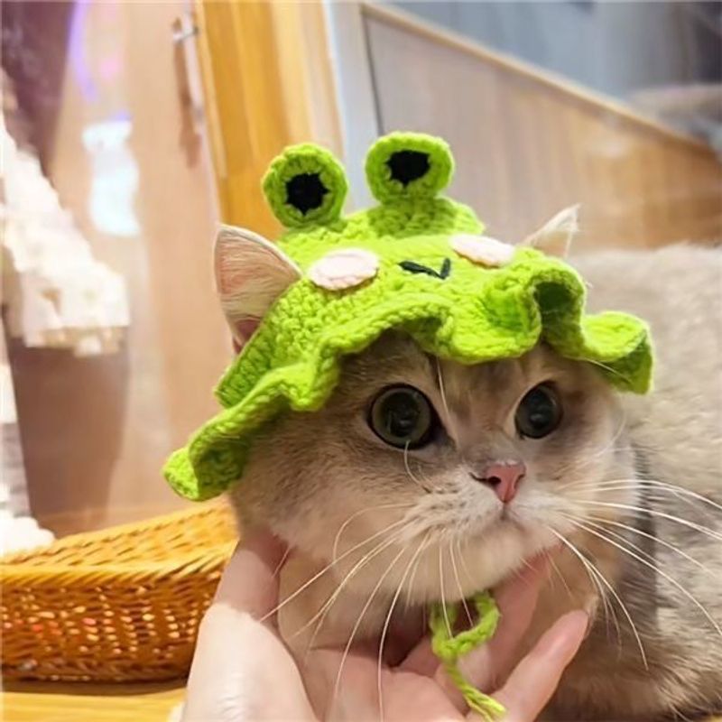 Cute Acrylic Cartoon Pet Hat