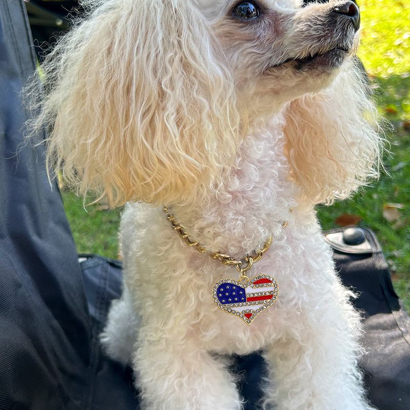 Estilo Moderno Estilo Clásico Aleación Cruzar Bandera Estadounidense Collar Para Mascotas