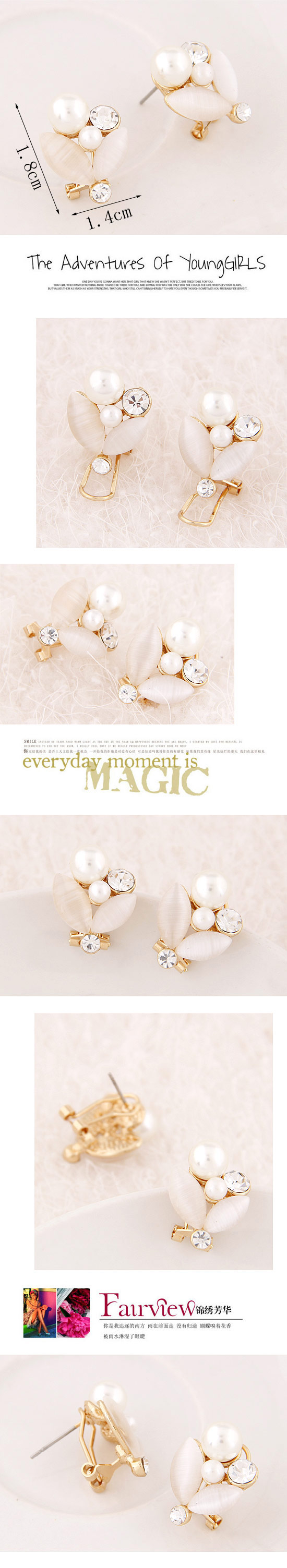 Korean Fashion Sweet Flash Diamond Shell Branch Leaf Earrings display picture 1