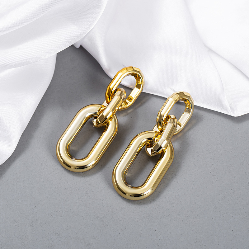 Fashion Exaggerated Trend Cold Wind Metal Texture Chain Earrings display picture 6