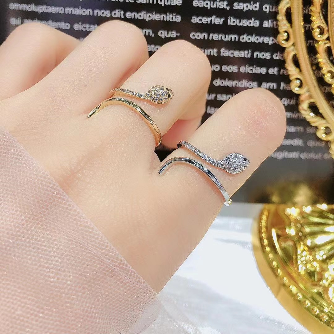 Retro Snake Shape Open Ring Trend Wild Fashion Ring Women display picture 1