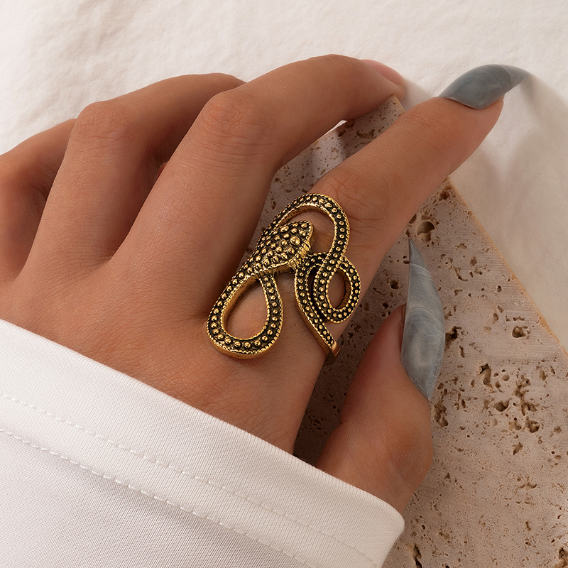 European And American Long Trend Snake Print Ring Punk Style Metal Animal Retro Exaggerated Snake Ring display picture 2
