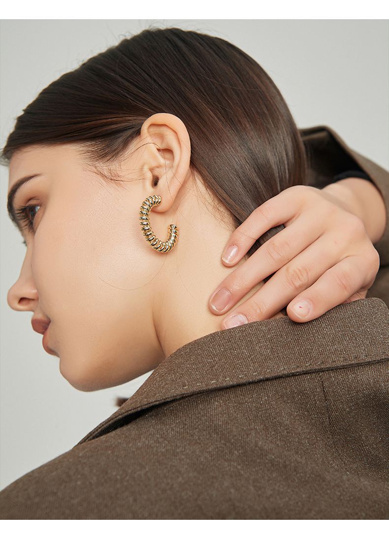 Design Spiral Earrings Female European And American Alloy Earrings display picture 5