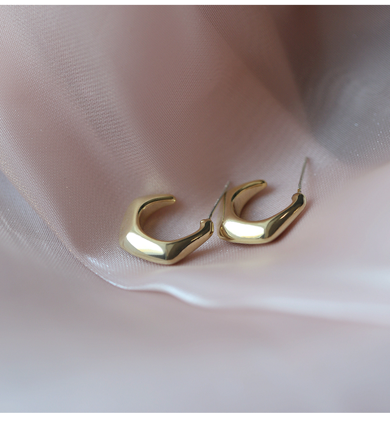 Geometric Earrings 2021 New Trendy Fashion Copper Earrings display picture 4