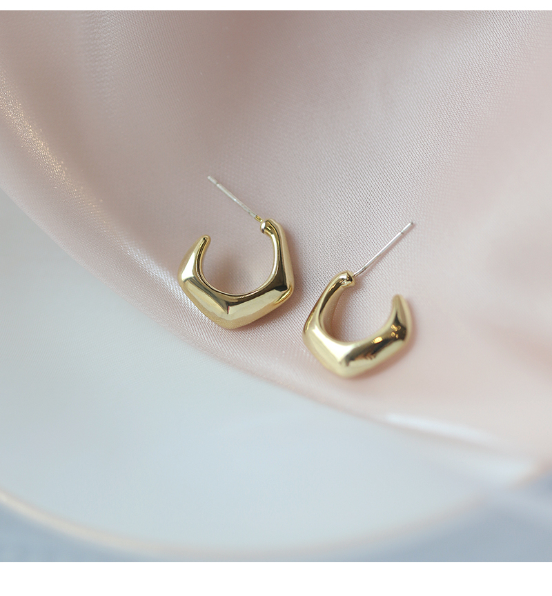 Geometric Earrings 2021 New Trendy Fashion Copper Earrings display picture 5