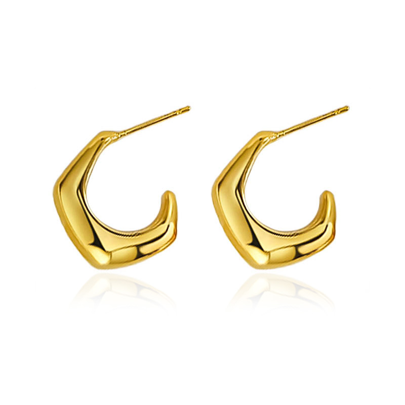 European And American Minimalist Geometric Metal C-shaped Niche Personality Earrings display picture 5