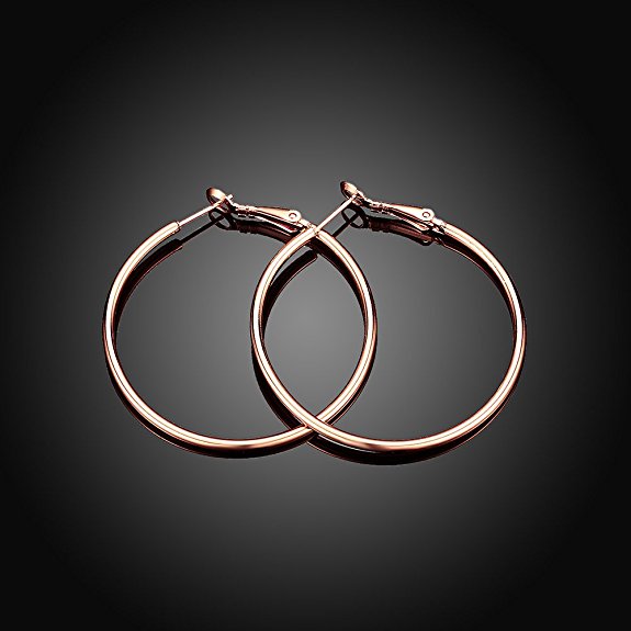 Fashion Fashion Geometric Hoop Earrings display picture 2