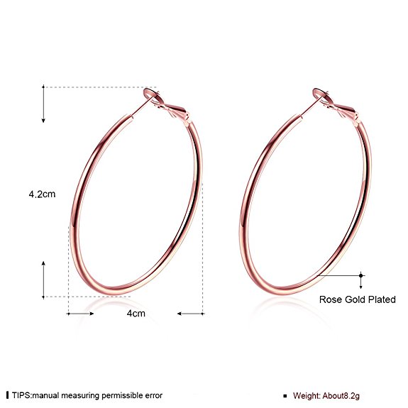 Fashion Fashion Geometric Hoop Earrings display picture 4