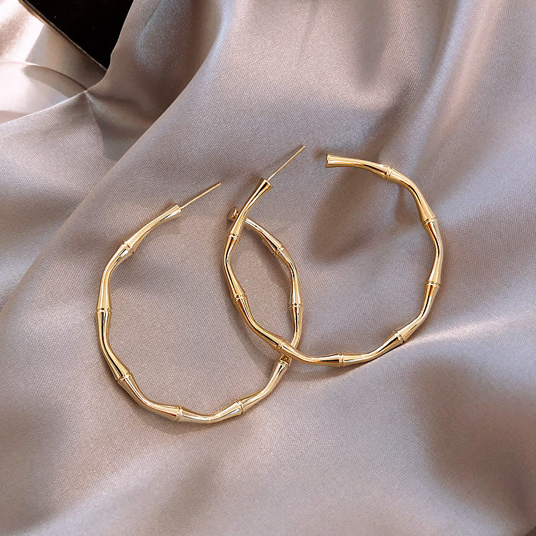 Vintage Fashion Style Circle Earrings display picture 4