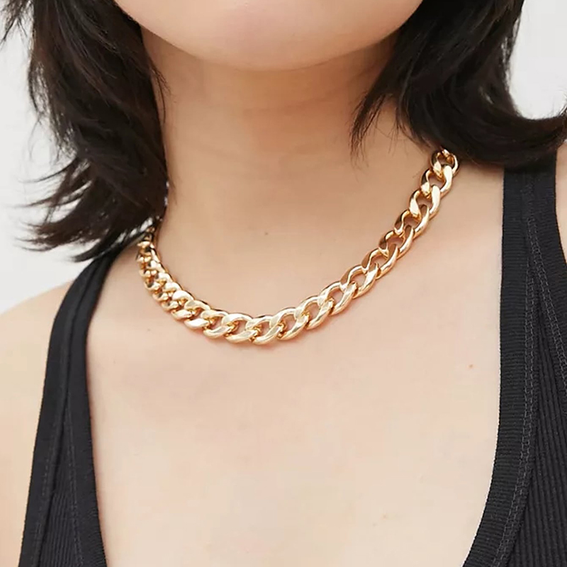 Hot-selling Fashion Thick Chain Simple Trendy Necklace display picture 1