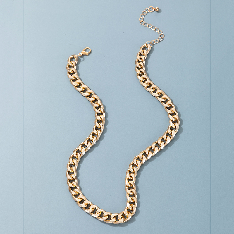 Hot-selling Fashion Thick Chain Simple Trendy Necklace display picture 2
