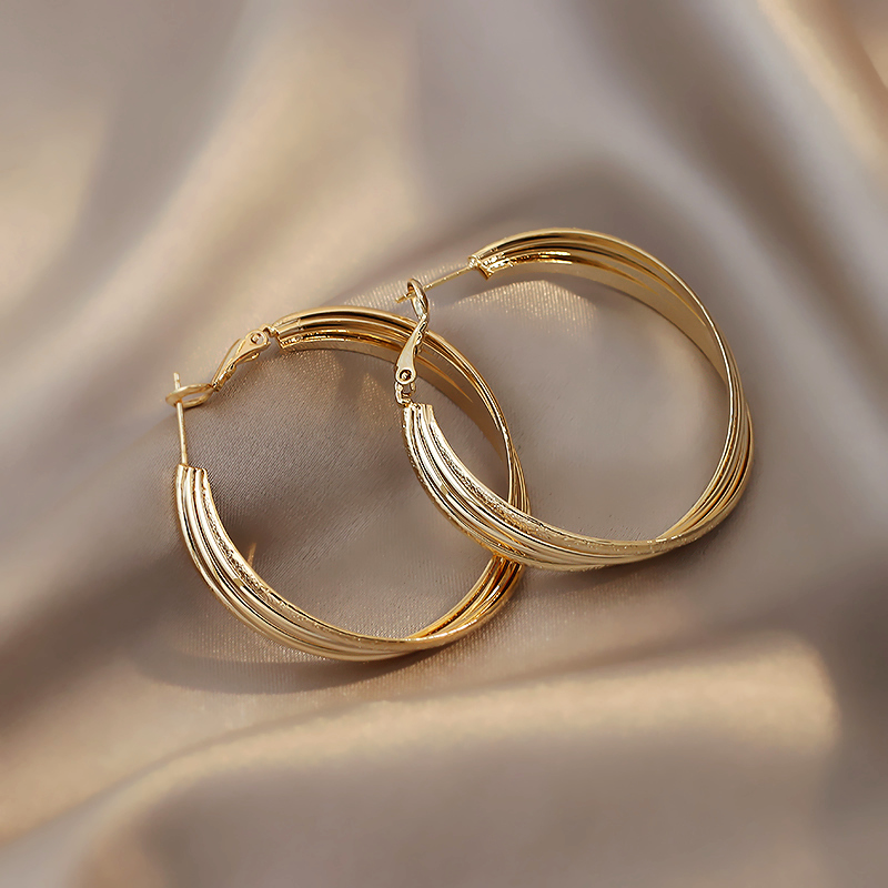 Korean Fashion Simple Style New Hoop Earrings display picture 3