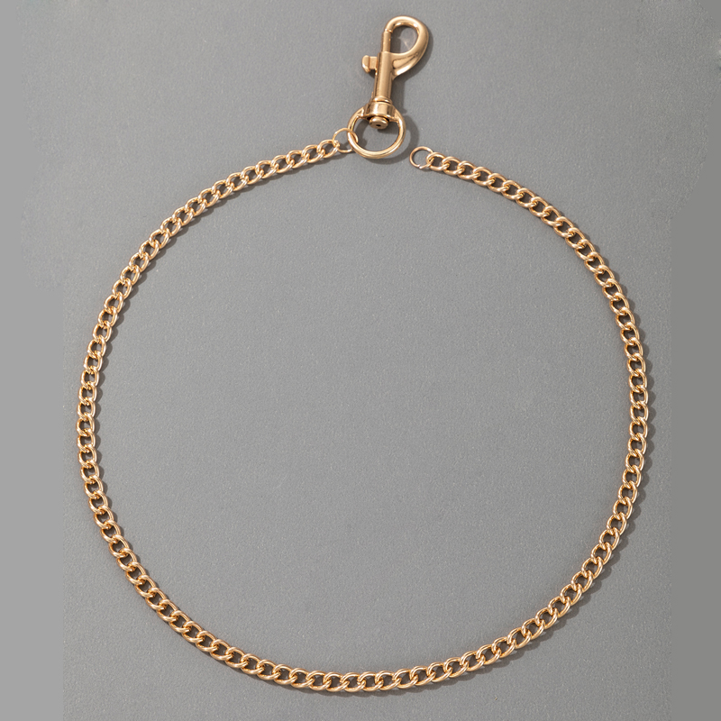 Wholesale Punk Style Single-layer Thick Chain Spring Clasp Necklace Nihaojewelry display picture 3