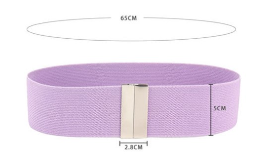 Simple Style Solid Color Alloy Elastic Band Woven Belt Women's Woven Belts display picture 5