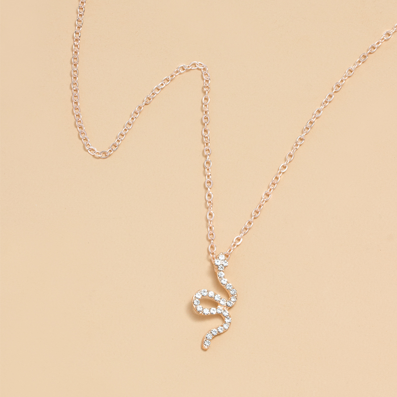 Retro Snake Alloy Rhinestone Women's Necklace display picture 5