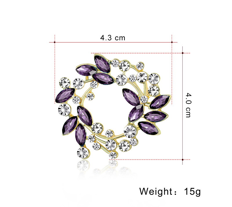 Mode Feuille Couronne Alliage Strass Femmes Broches display picture 2