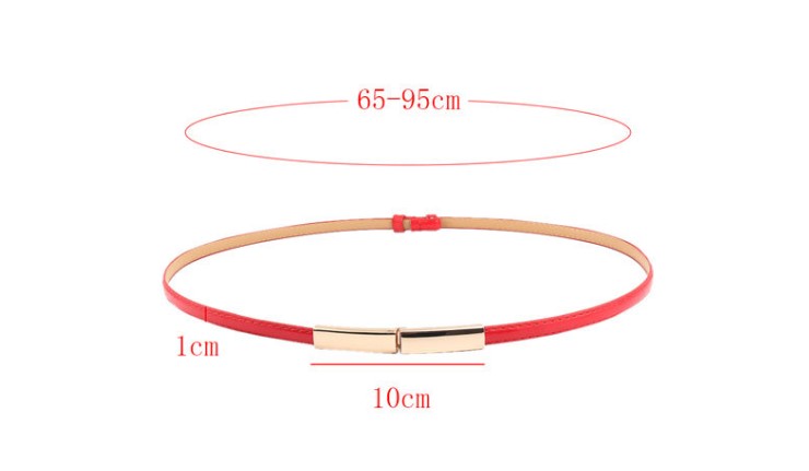 Simple Style Rectangle Pu Leather Alloy Patent Leather Women's Leather Belts 1 Piece display picture 3