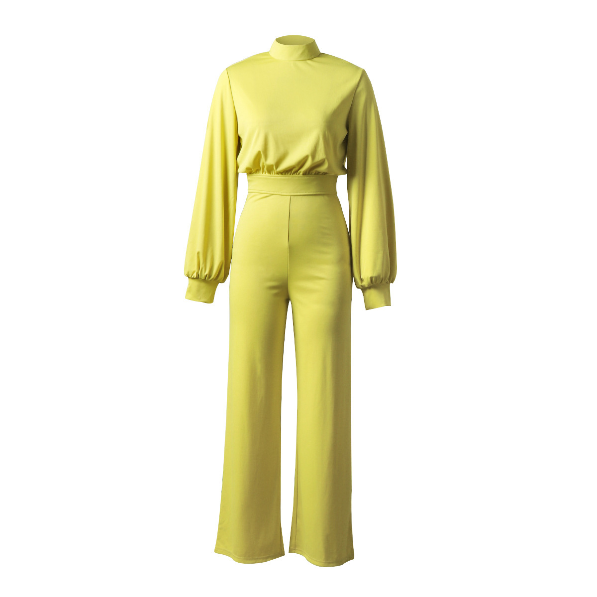 Women's Daily Simple Style Solid Color Full Length Jumpsuits display picture 5