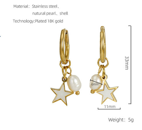 Fashion Star Stainless Steel Inlay Pearl Shell Drop Earrings 1 Pair display picture 5