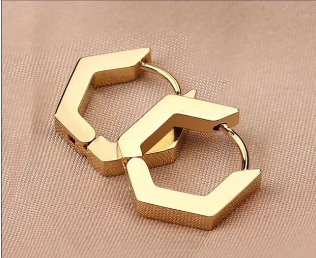 1 Piece Simple Style Geometric Plating Stainless Steel Earrings display picture 3