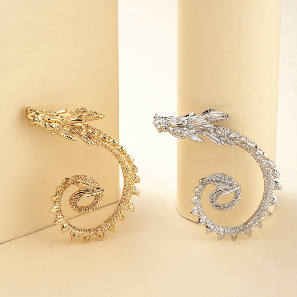 Fashion Snake Dragon Alloy Plating Women's Earrings Ear Hook 1 Piece 1 Pair display picture 11