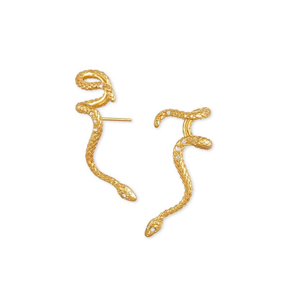 Fashion Snake Dragon Alloy Plating Women's Earrings Ear Hook 1 Piece 1 Pair display picture 14