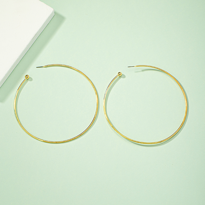 1 Pair Simple Style Circle Plating Alloy Hoop Earrings display picture 3