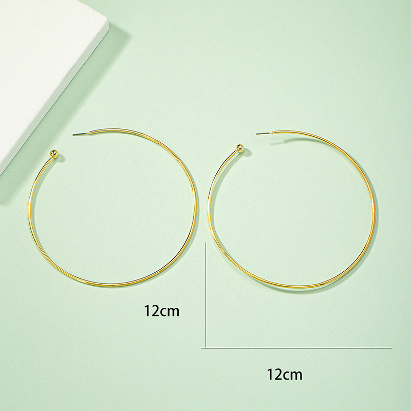 1 Pair Simple Style Circle Plating Alloy Hoop Earrings display picture 6