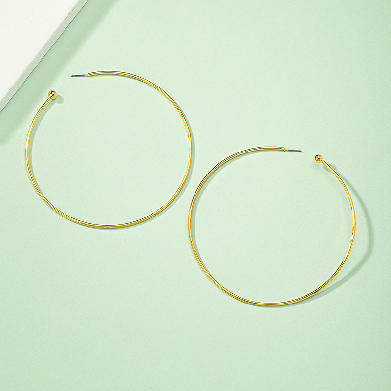 1 Pair Simple Style Circle Plating Alloy Hoop Earrings display picture 2