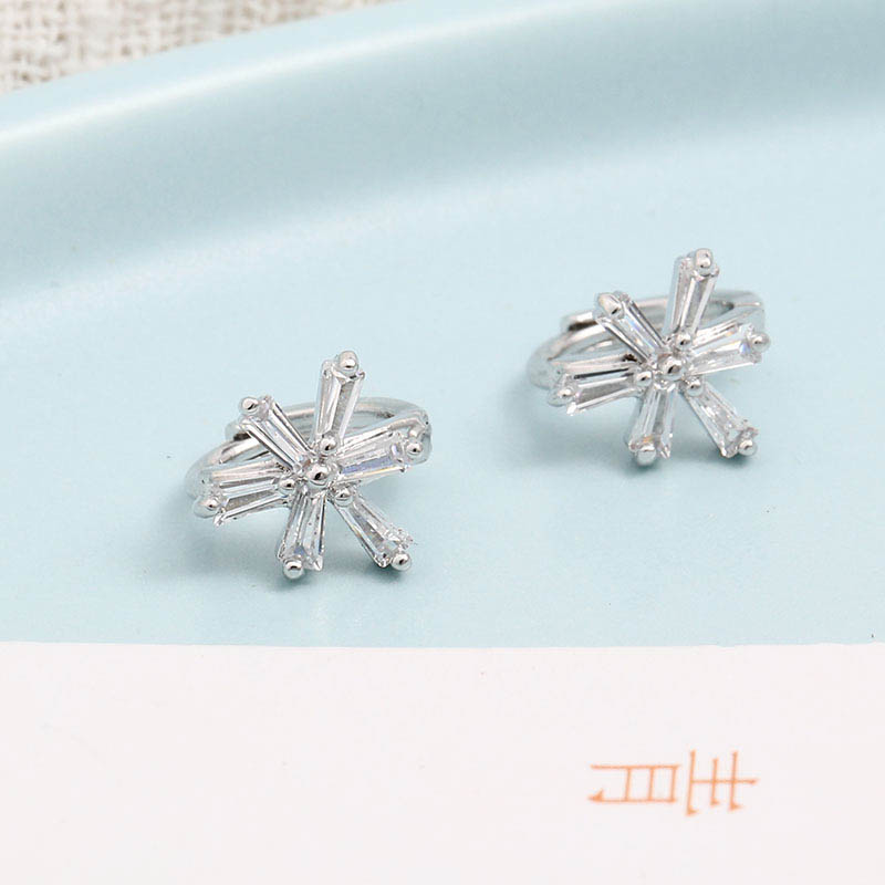 Light Luxury Niche Classic All-match Earrings display picture 4
