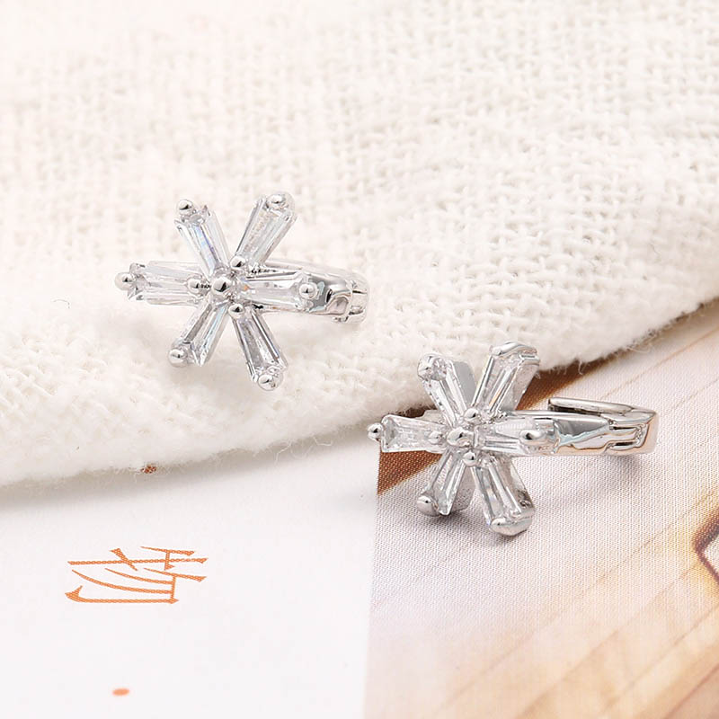 Light Luxury Niche Classic All-match Earrings display picture 5