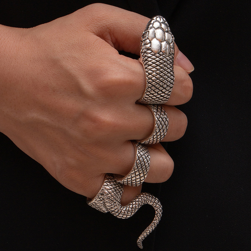 Fashion Retro Accessories Python Snake Alloy Ring Set display picture 1