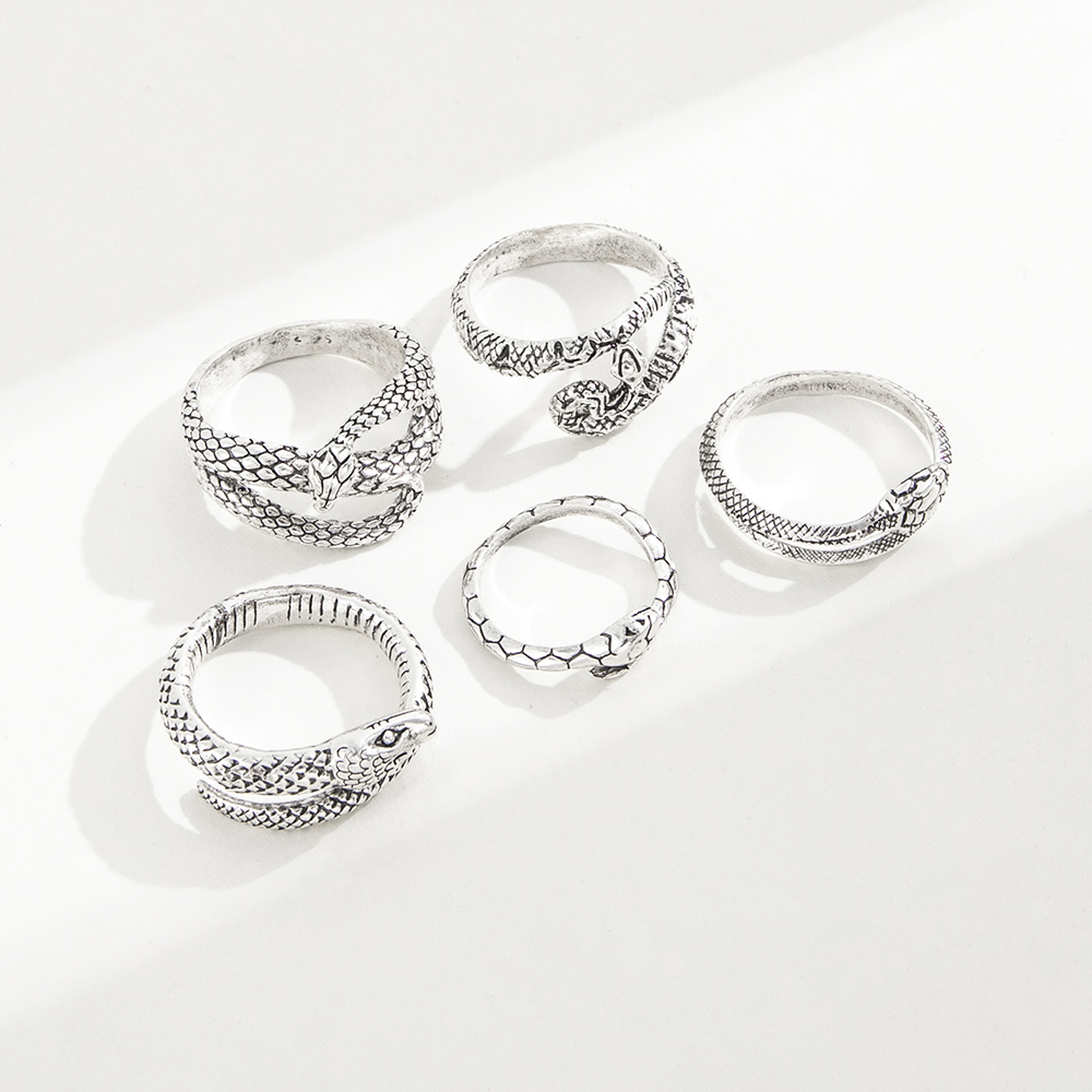 Fashion Geometric Snake-shaped Vintage Silver Ring 5-piece Set display picture 3