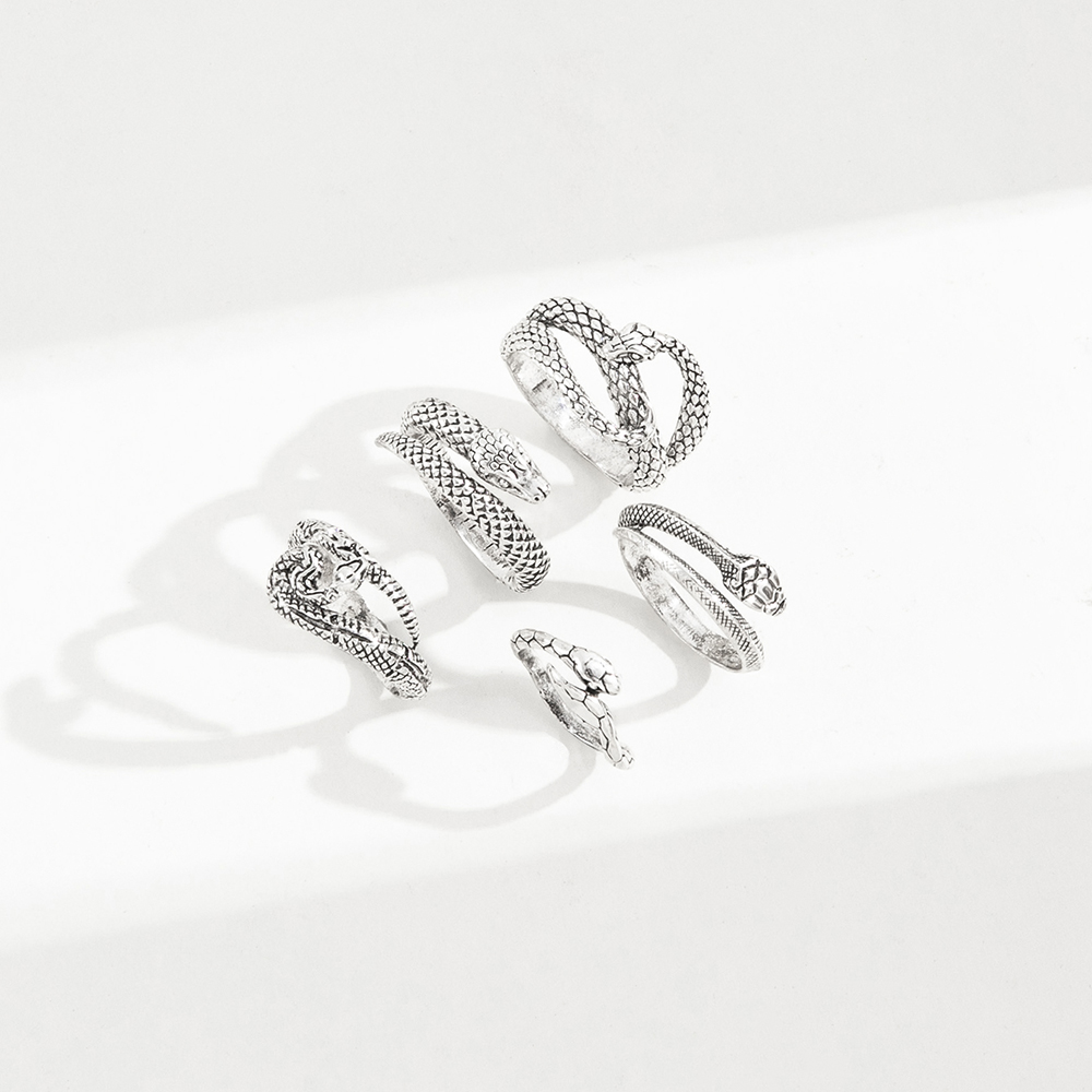 Fashion Geometric Snake-shaped Vintage Silver Ring 5-piece Set display picture 6